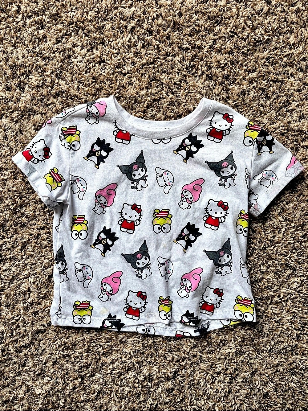 Sanrio Hello Kitty and Friends All-Over Print Crop Tee Gray & Pink Size Small